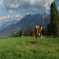 NA SZCZYCIE адпачынак у гарах татры Закапанэ